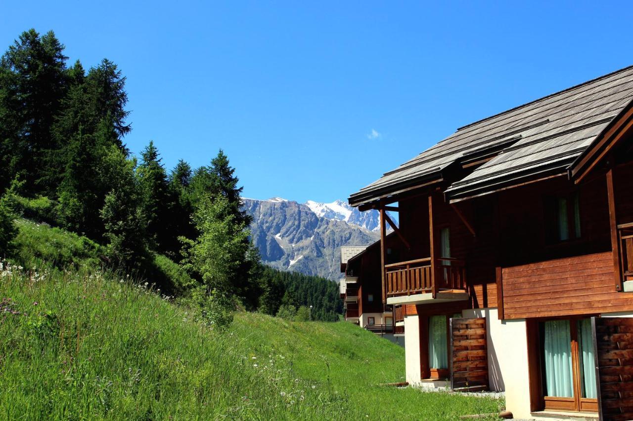 Les Chalets Du Parc Aux Etoiles - Cimes Et Neige Apartment Пюи-Сен-Венсан Екстериор снимка