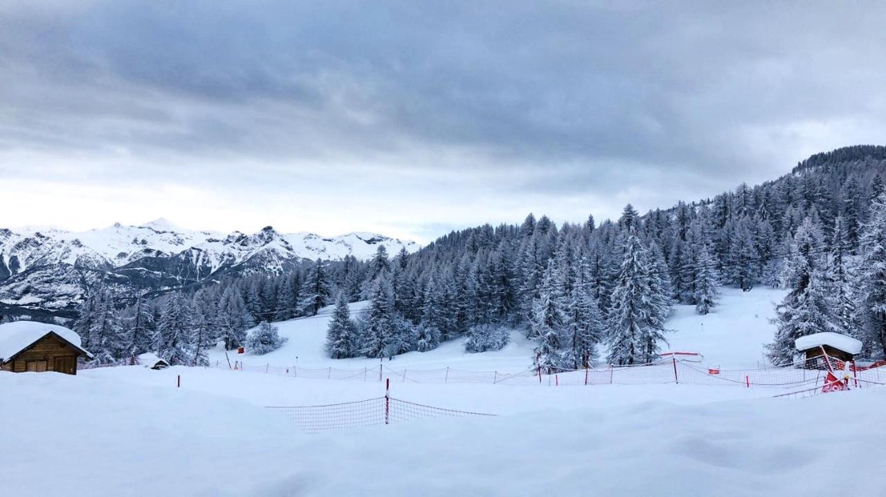 Les Chalets Du Parc Aux Etoiles - Cimes Et Neige Apartment Пюи-Сен-Венсан Екстериор снимка